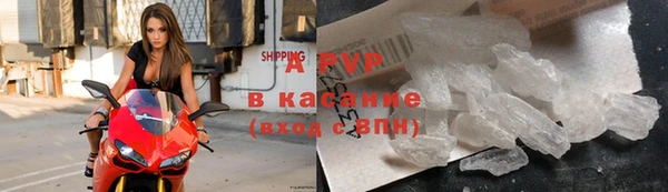 прущий лед Дмитриев
