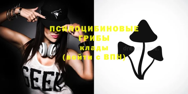 не бодяженный Дмитров
