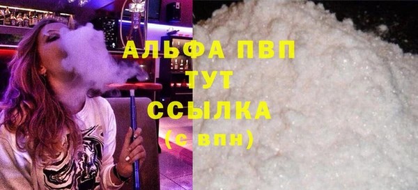 скорость Ельня