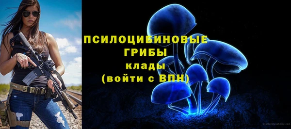 скорость Ельня