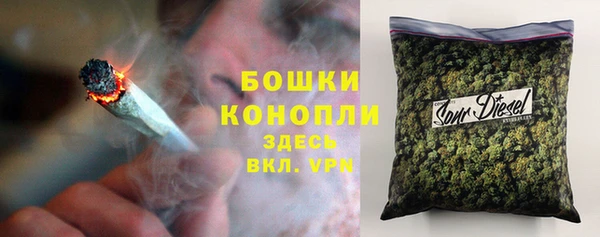 МДПВ Елизово
