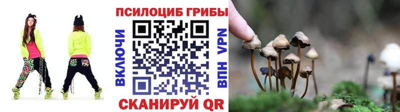 Галлюциногенные грибы Cubensis Набережные Челны
