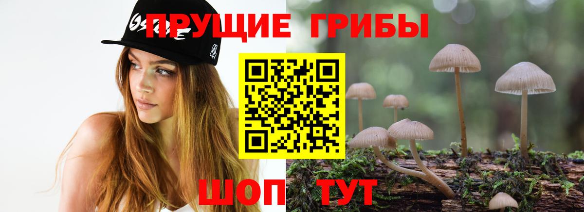 Россия  Псилоцибиновые грибы мицелий  Вход с VPN 