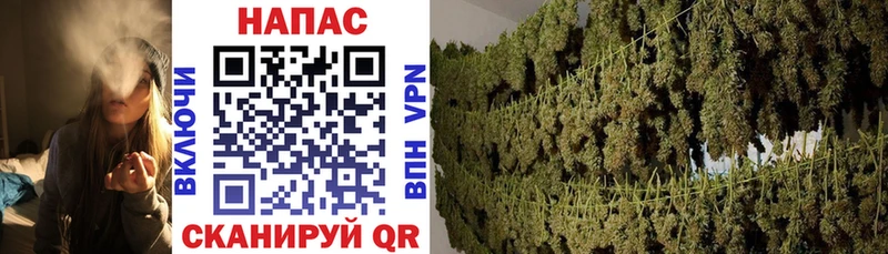 МАРИХУАНА SATIVA & INDICA  площадка состав  Набережные Челны 